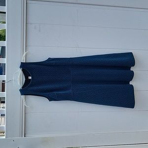 Loft size 6 holiday dress